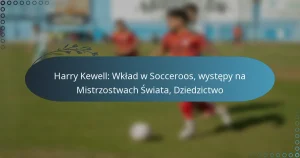 Harry Kewell: Wkład w Socceroos, występy na Mistrzostwach Świata, Dziedzictwo